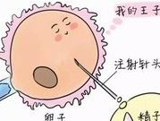 安徽试管婴儿医院名单已更新，不排队的都有这几家