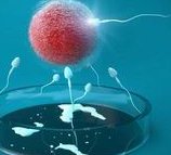 不管试管还是自怀，一胎二胎至少间隔一年时间才安全！