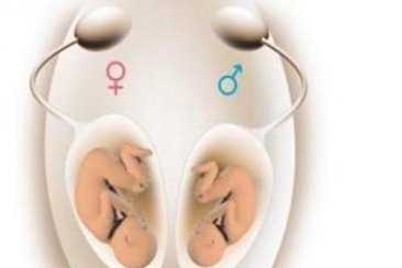 惠州做第二代试管婴儿的费用和成功率分析